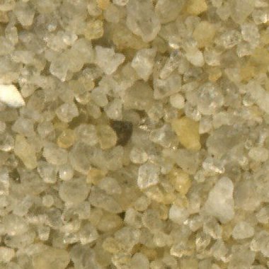 Sand Collection - Sand from Barbados