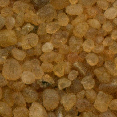 Sand Collection - Sand from Egypt