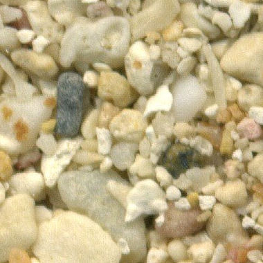Sand Collection - Sand from Guadeloupe