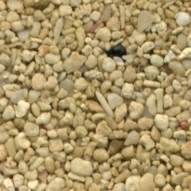 Sandsammlung - Sand aus Mexiko