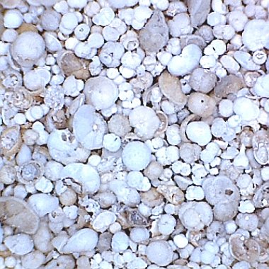 Sand Collection - Sand from United States Minor Outlying Islands
