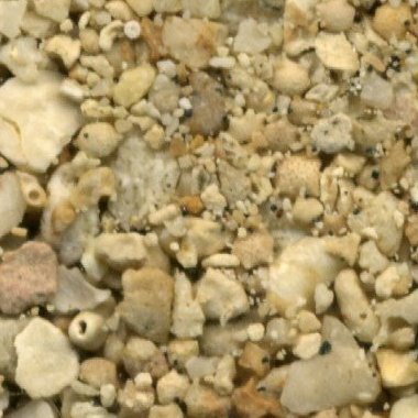 Sandsammlung - Sand aus Guam