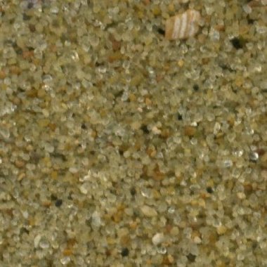 Sandsammlung - Sand aus Belgien