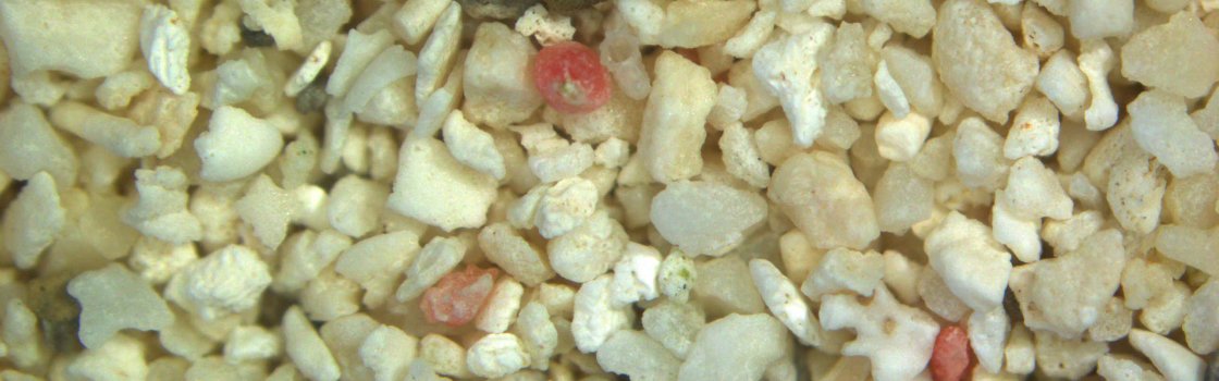 Sandsammlung www.sand.world