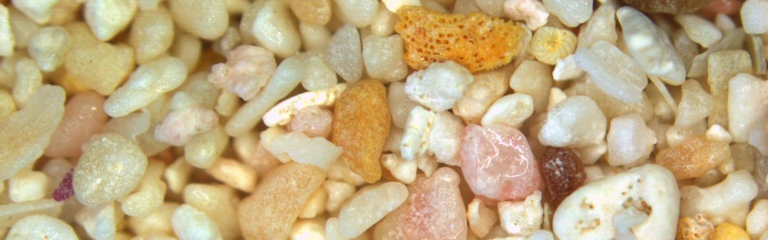 Sand collection www.sand.world
