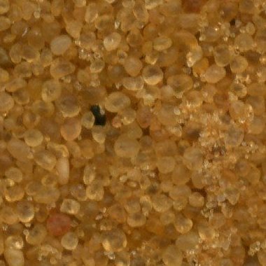 Sandsammlung - Sand aus Algerien