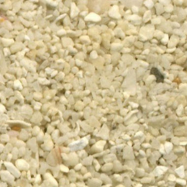 Sand Collection - Sand from Maldives