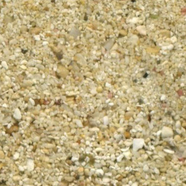 Sand Collection - Sand from Jamaica