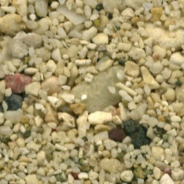 Sandsammlung - Sand aus Fidschi
