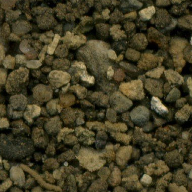 Sand Collection - Sand from Germany