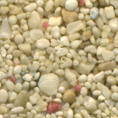Sandsammlung - Sand aus Bahamas