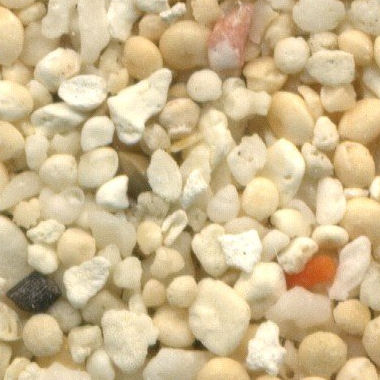 Sand Collection - Sand from Mauritius