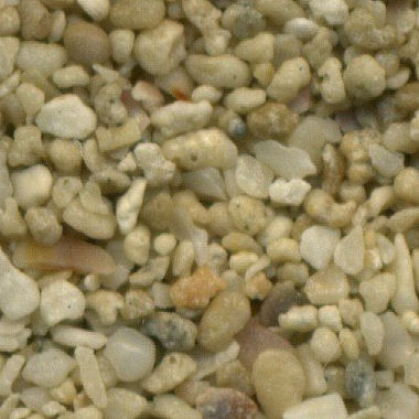 Sandsammlung - Sand aus Vereinigte Arabische Emirate
