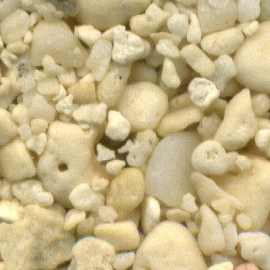 Sandsammlung - Sand aus Neukaledonien