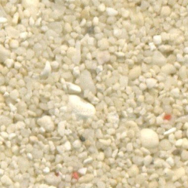 Sandsammlung - Sand aus Malediven