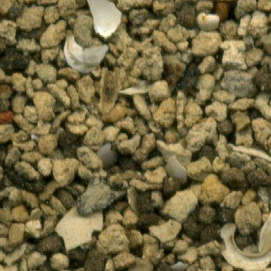 Sand Collection - Sand from Germany