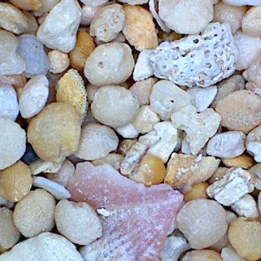 Sandsammlung - Sand aus Marshallinseln