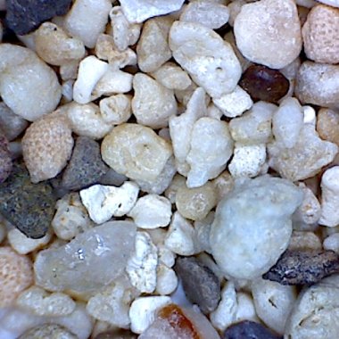 Sand Collection - Sand from Fiji