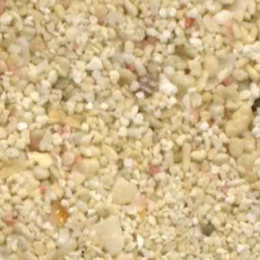 Sandsammlung - Sand aus Bermuda